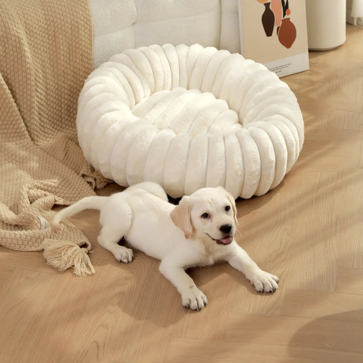 Warm Round Donut Bed for Dogs and Cats- Washable and Cozy
