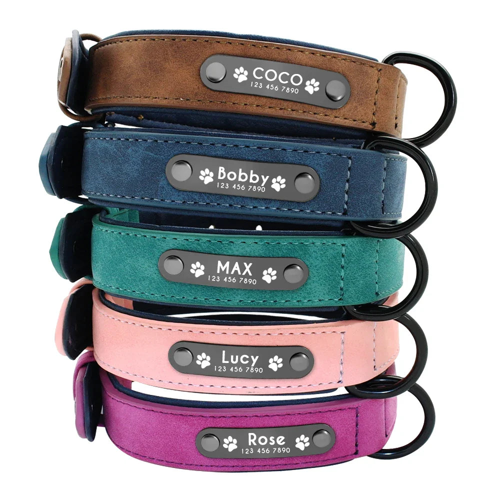 Fashionable, Personalized Leather Dog Collar in Multi Colors, Sturdy Clip, Free Engravement