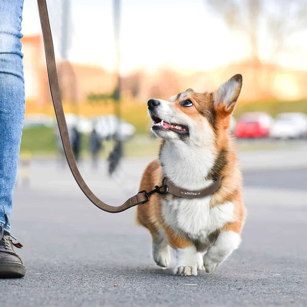 Fashionable, Personalized Leather Dog Collar in Multi Colors, Sturdy Clip, Free Engravement