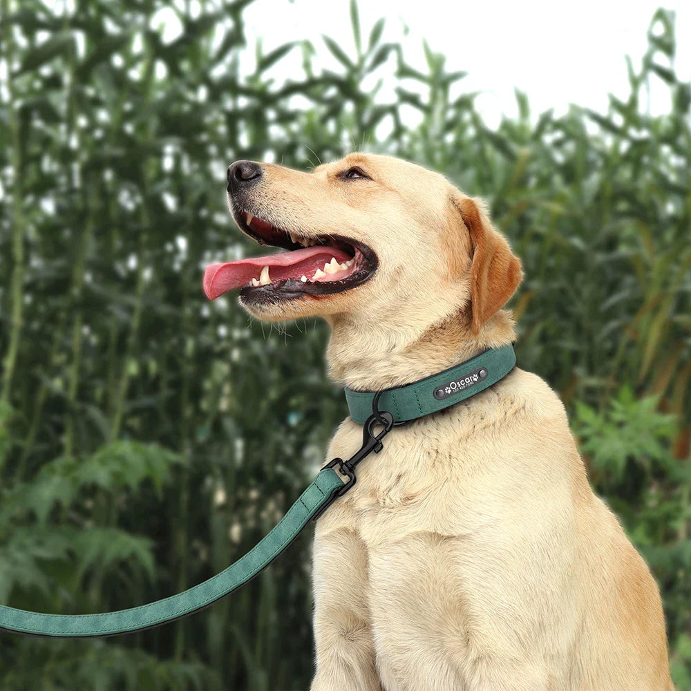 Fashionable, Personalized Leather Dog Collar in Multi Colors, Sturdy Clip, Free Engravement