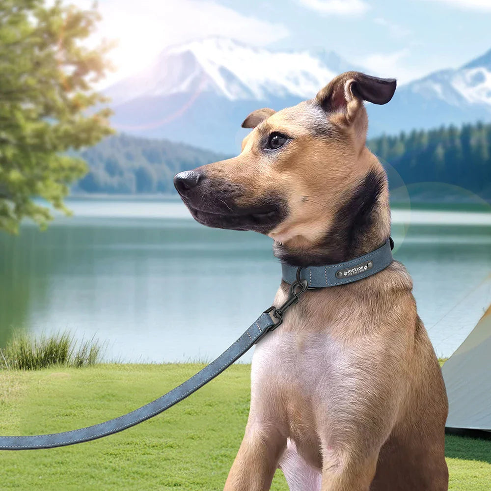 Fashionable, Personalized Leather Dog Collar in Multi Colors, Sturdy Clip, Free Engravement