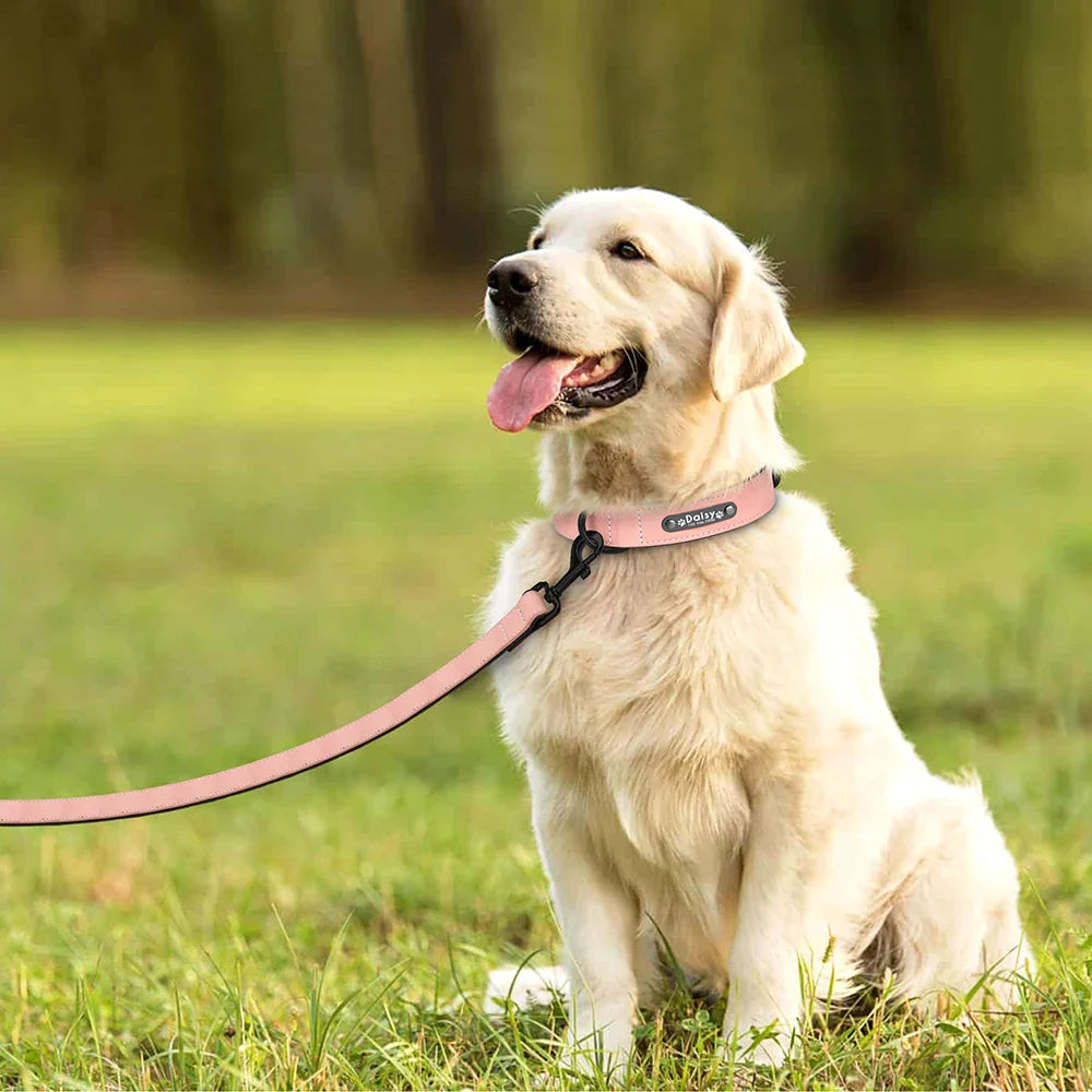 Fashionable, Personalized Leather Dog Collar in Multi Colors, Sturdy Clip, Free Engravement