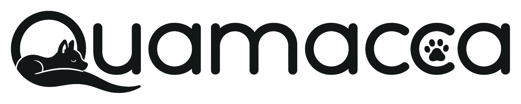 Quamacca